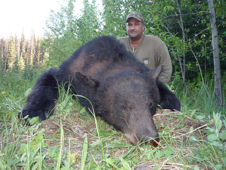 Black Bear Hunt