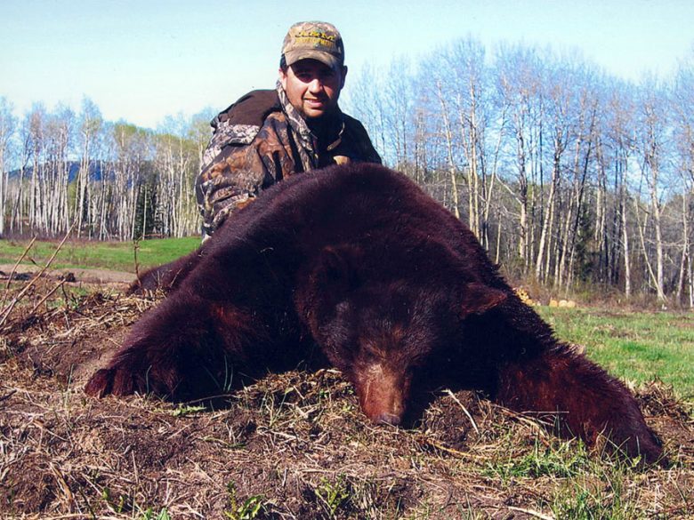 Black Bear Hunting in BC