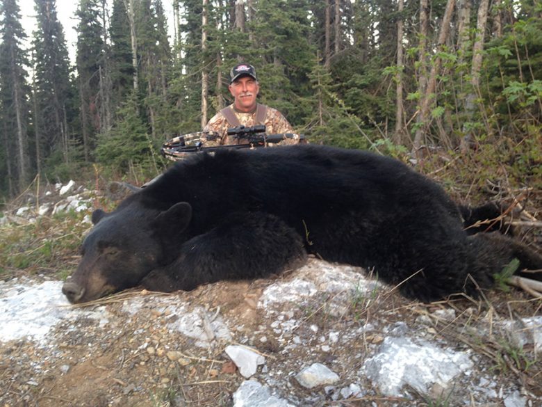 Black Bear Hunts BC
