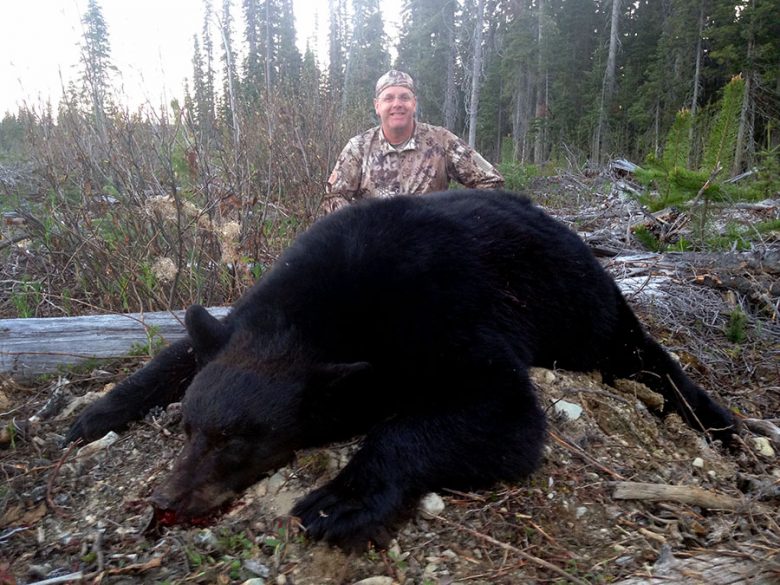 Black Bear Hunts BC