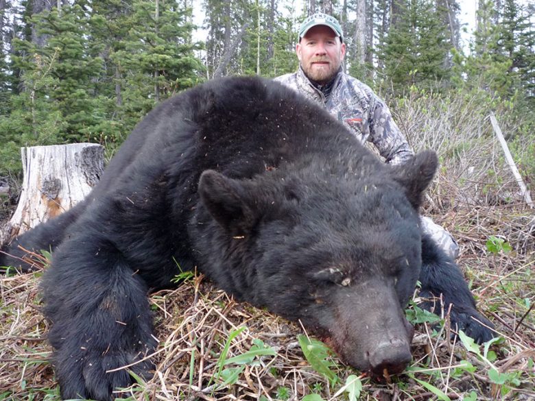 BC Black Bear Hunting