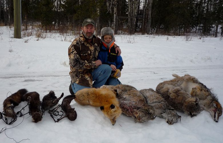 Trapline Hunts for wolf, lynx, wolverine