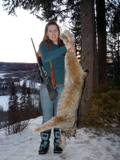Trapline Hunts for wolf, lynx, wolverine