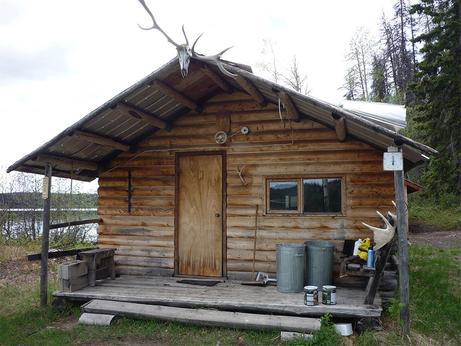 Grizzly Bear Hunting