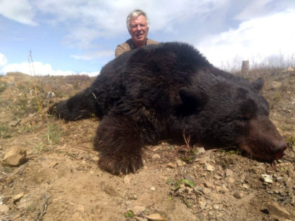 Black Bear Hunts in BC