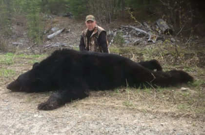 Hunting BC Black Bear