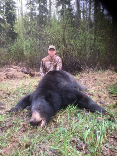 Black Bear Hunts in BC