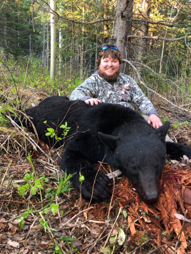 Hunting BC Black Bear