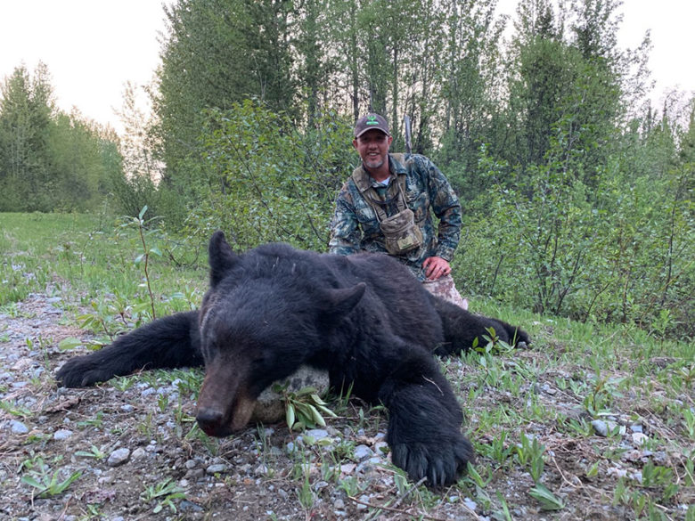 Black Bear Hunts in BC