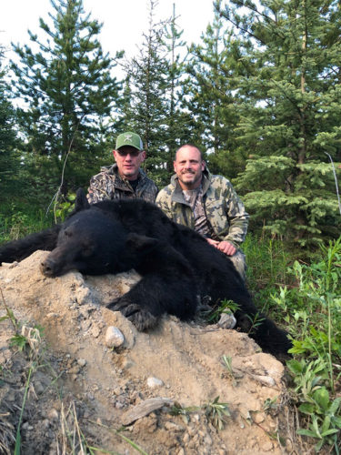 Black Bear Hunts in BC