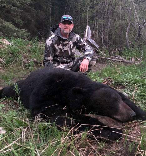 Black Bear Hunts in BC