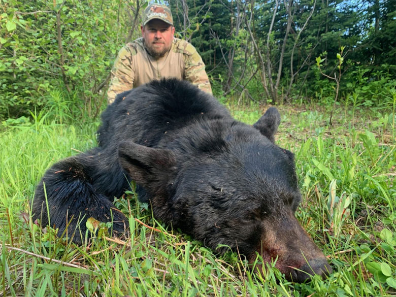 BC Black Bear Hunts