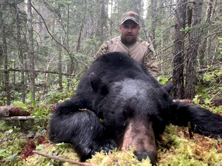 BC Black Bear Hunts