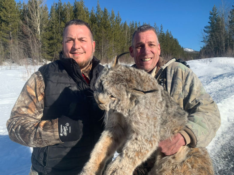 Lynx Hunting in BC