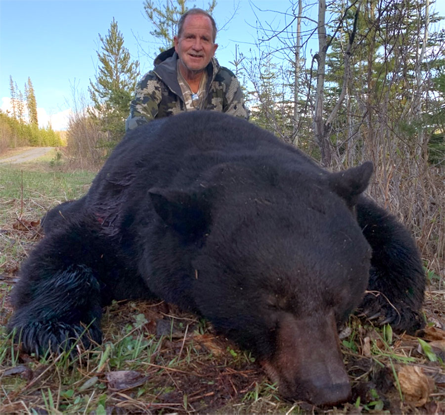 Black Bear Hunting