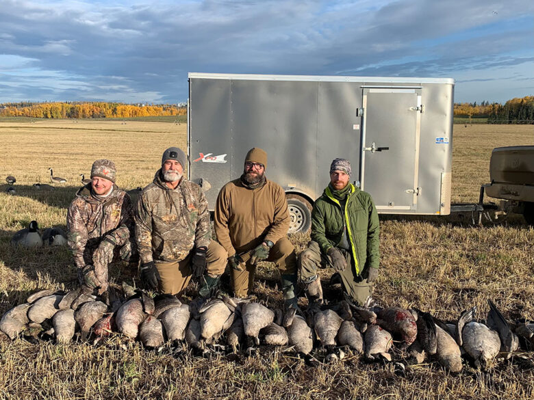 Canada Geese Hunting