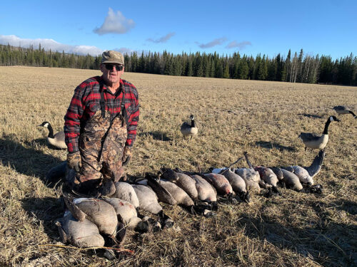 canada goose hunt in Vanderhoof
