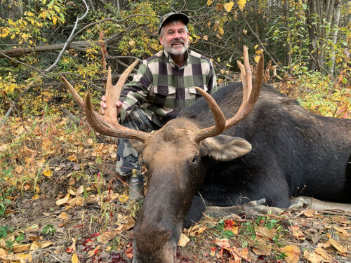 BC Moose Hunting