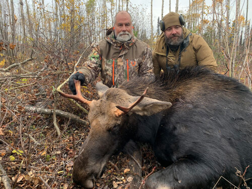 Meat Moose Hunt