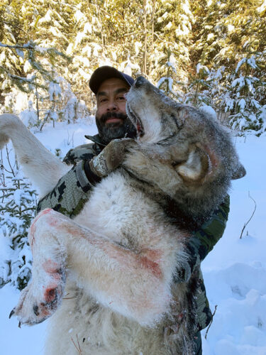Winter Wolf Hunt