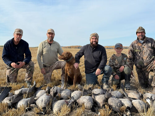 Goose Hunts in Vanderhoof