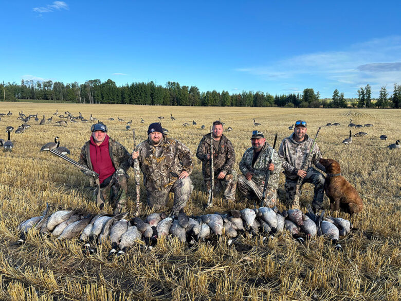 2026-goose-5