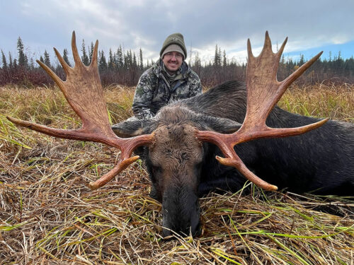 Canada Moose Hunting BC