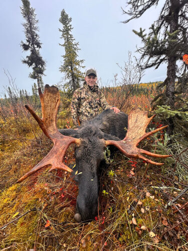 Canada Moose Hunting BC