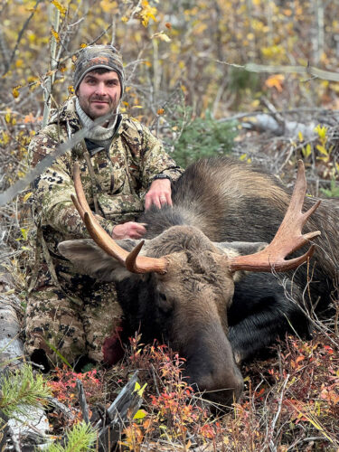 Moose Hunting BC