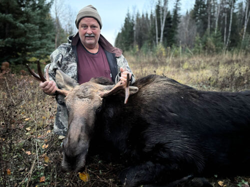 Moose Hunting BC