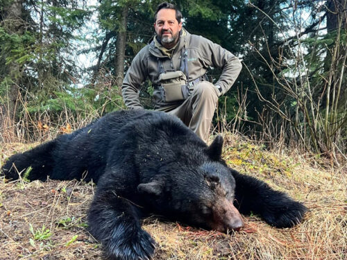 Black Bear Hunting