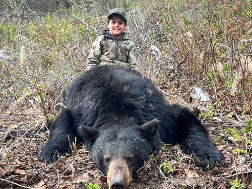 Black Bear Hunting