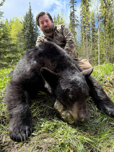 BC Bear Hunt