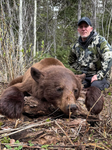 BC Bear Hunt