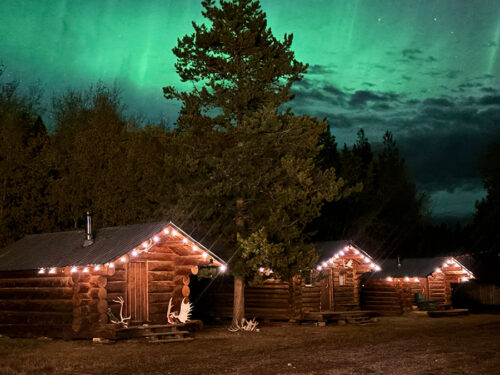 British Columbia Hunting